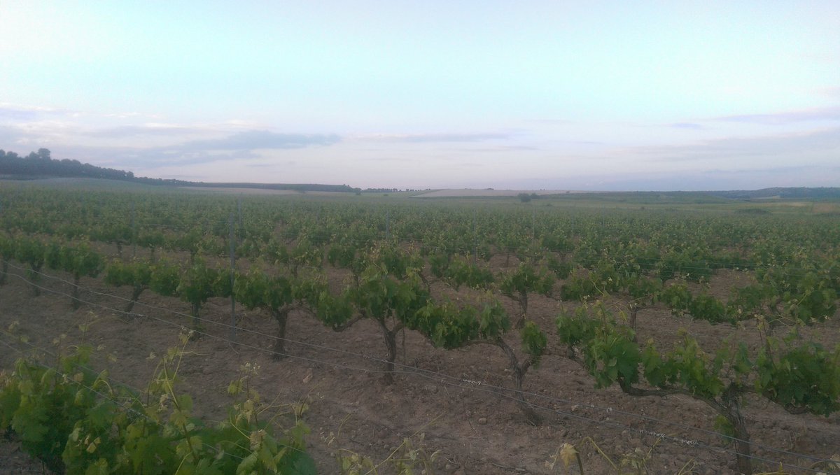 No hay nada como amanecer bien rodead@. #ROLINDES 2016