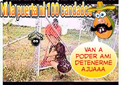 roberto08030878's tweet photo. Un poquito de humor chicos https://t.co/d73ac6Jp3y