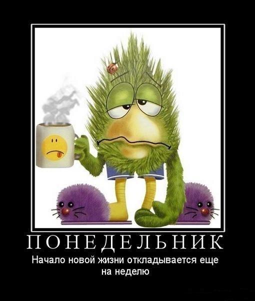 Праздник78 tweet media