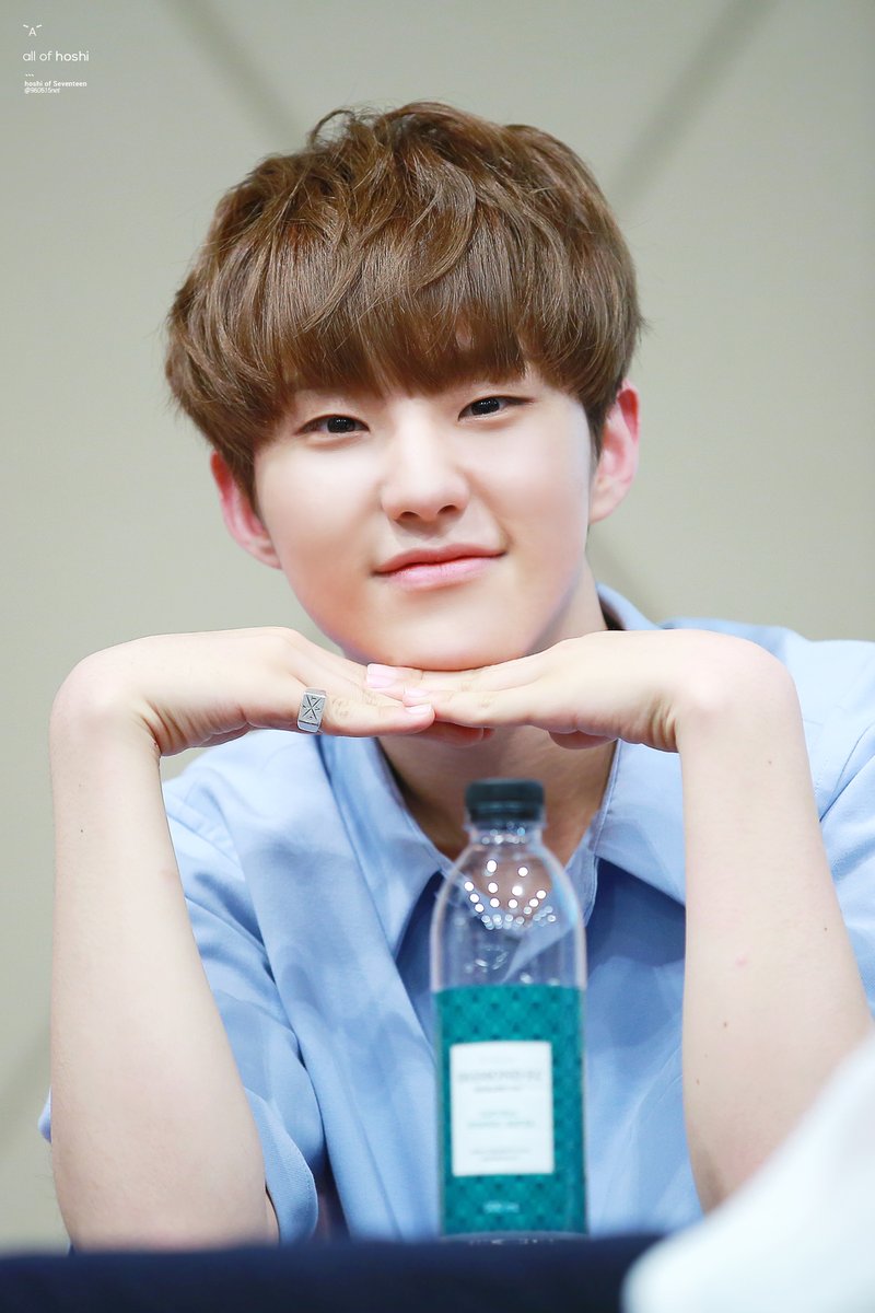 Tiger Bear on Twitter: "160605 HOSHI DINO ©88HANCOUPS #호시 #HOSHI #세븐틴