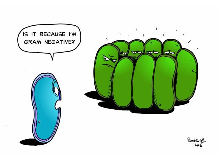 Xilicate's tweet photo. Opposites do not always attract... https://t.co/Y1DTecelWL