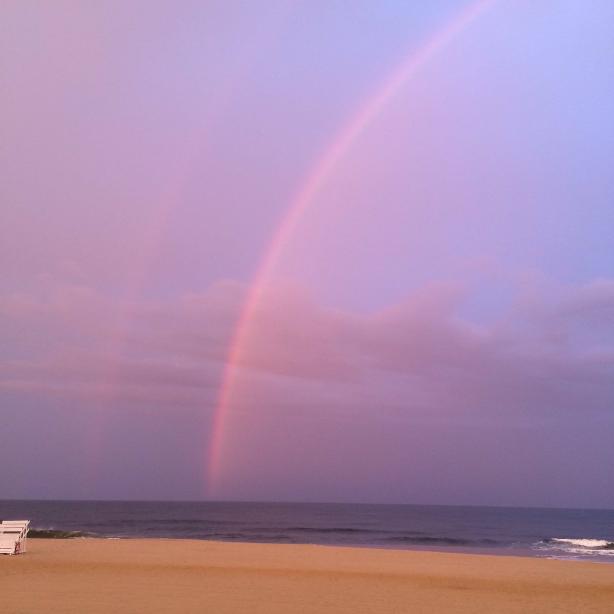 LillyLibrary822's tweet image. Reading and rainbows!        📗+🌈