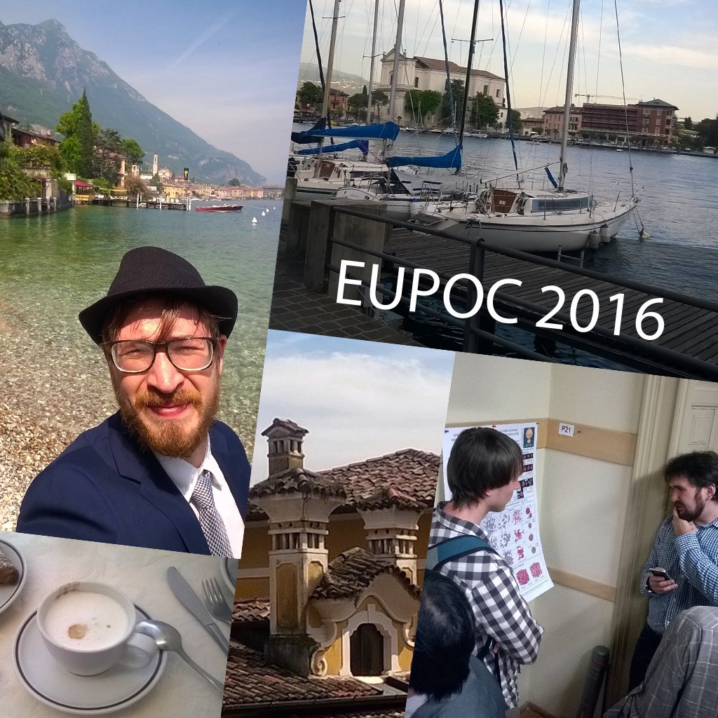 PSMT_Lab's tweet image. We and EUROPOLYMER CONFERENCE (EUPOC-2016).
eupoc2016.it/gallery.html