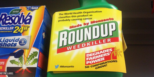 GMWatch's tweet image. Crunch EU vote on #glyphosate today. Time to stop drenching our fields, streets &amp;amp; parks with this risky weedkiller.