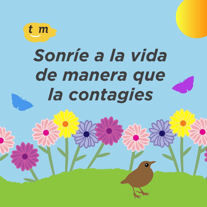 TM_System's tweet image. Finalizando la primavera, en TMSYSTEM os queremos contagiar..... ¡¡con nuestra sonrisa!!
#DespiertaUnaSonrisa