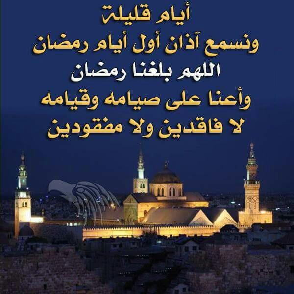 HamzaMosoi tweet picture