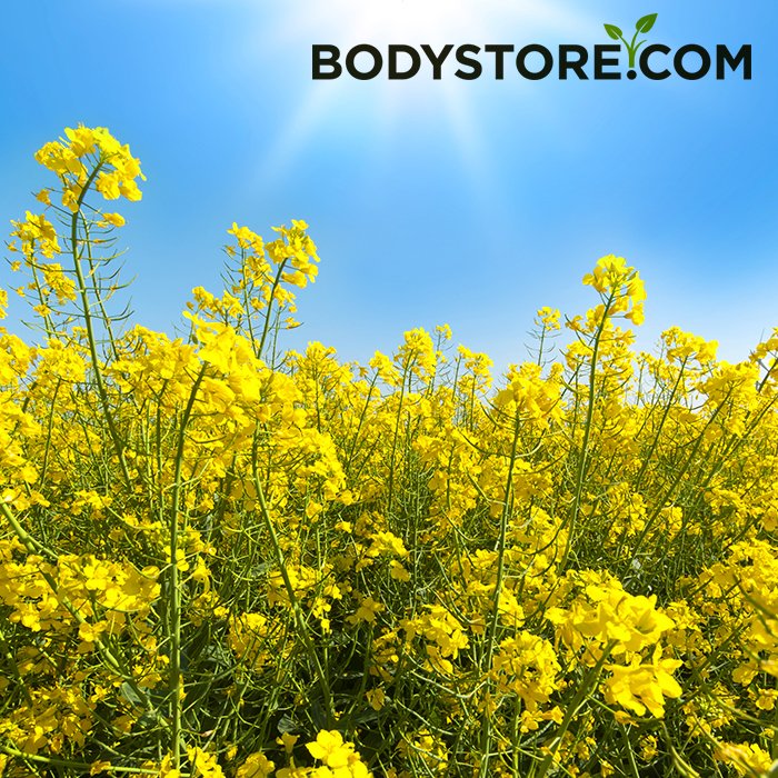 Bodystore's tweet photo. Glad Nationaldag önskar vi på Bodystore! https://t.co/mxpDDPzWcP https://t.co/58dq1VBOF3