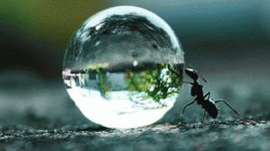 olurmu1's tweet photo. Oruçtan maksad, Allah rızası, nefsin terbiyesi, irâde eğitimi ve takvadır. ***

#Bamteli https://t.co/4oxmUFqDVd