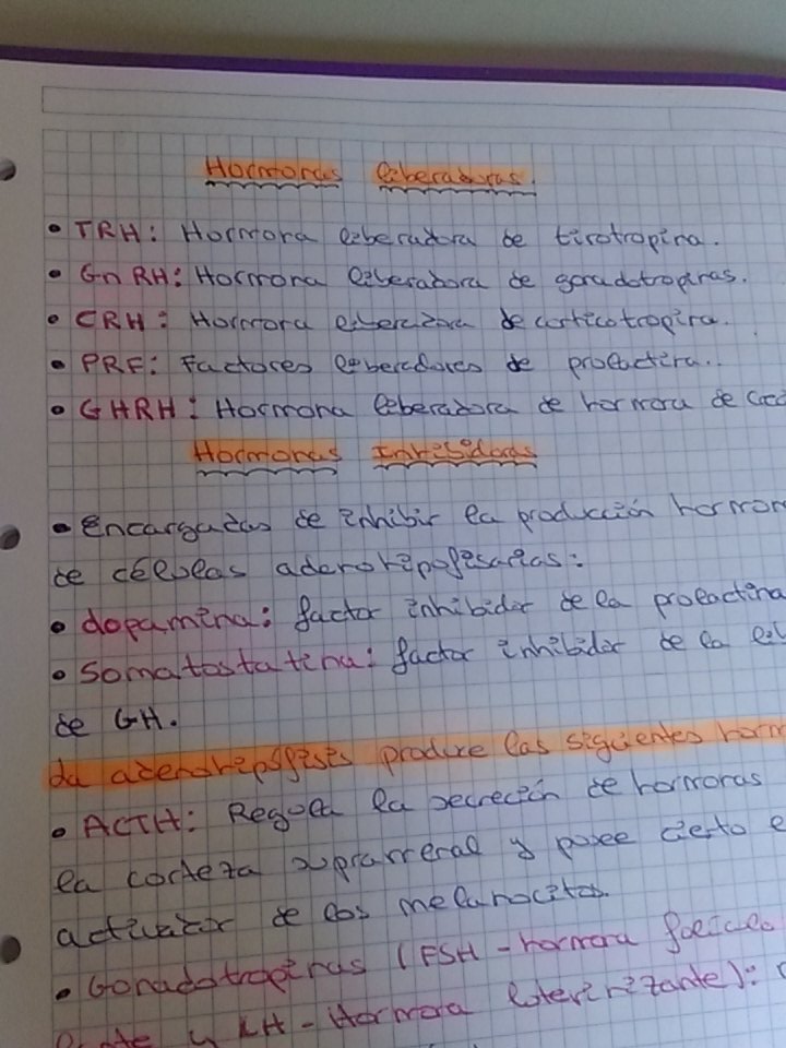 _Mariuski_'s tweet image. @apijimenez buenos díass #SúperApi ando por aquí liándola con las hormonas..el 17 me libero y podré escucharte! 😂👌👍