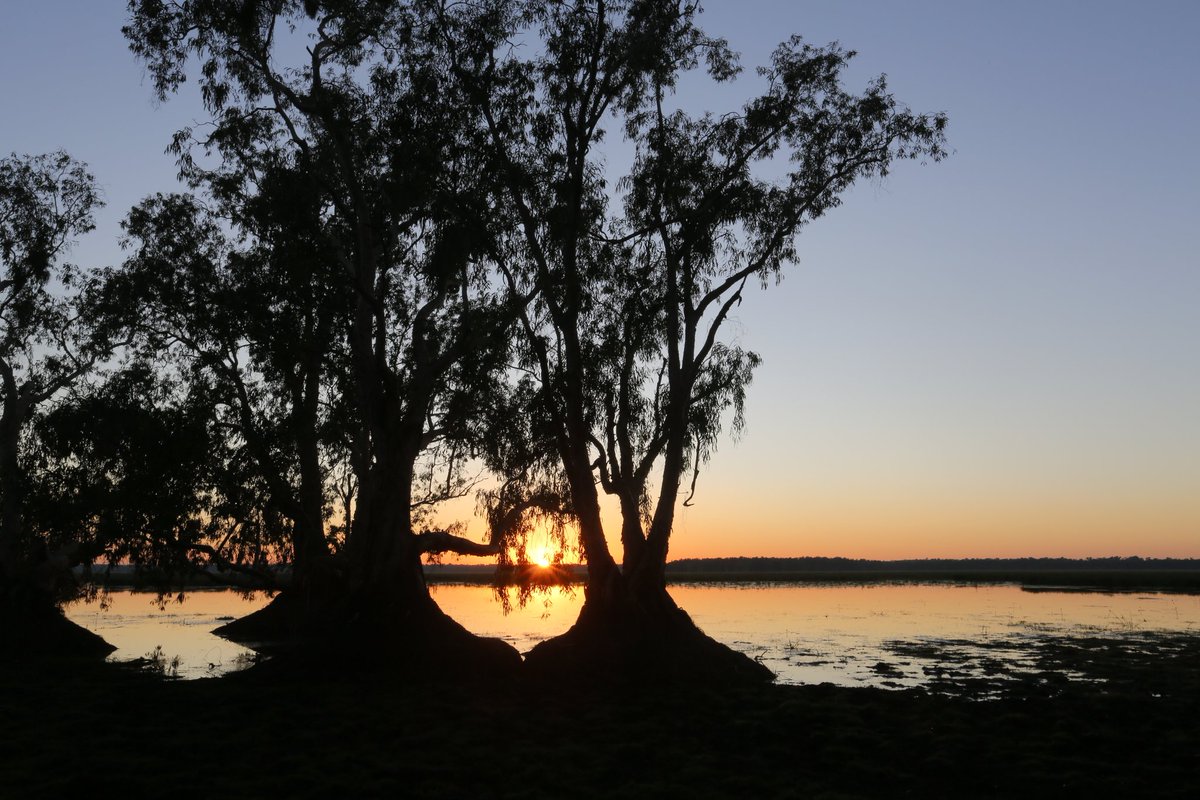 Stay in luxury, wake upto this! #bamurruplains #seeAustralia <a href="/WildBushLuxury/">Wild Bush Luxury</a> <a href="/LuxeLodgesofOz/">Luxury Lodges of OZ</a> #sunrise #landscape