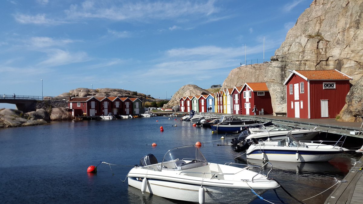 anglonavia's tweet image. Happy Sweden Day! #svergiedagen #västkusten