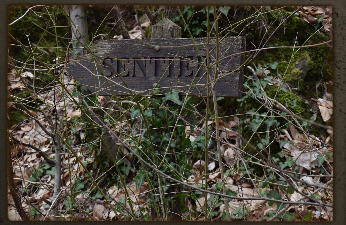 Sonia_enmini's tweet photo. Mais ou ce sentier nous emmènera t il? https://t.co/Gchxh4JILW