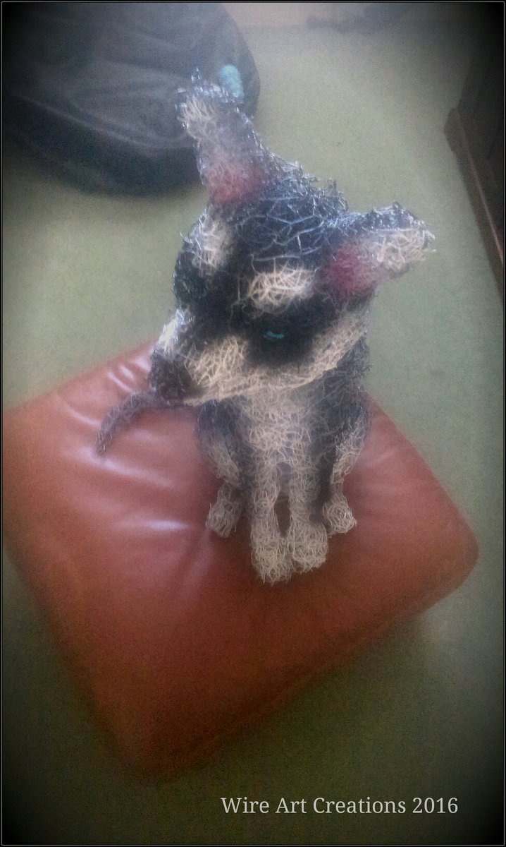 sgray046_art's tweet photo. Aakii the Malamute pup finished.
#wiresculpture #wiredog #petportrait #handmade #malamute #husky #wolf #nature https://t.co/ZH9ANEliDI