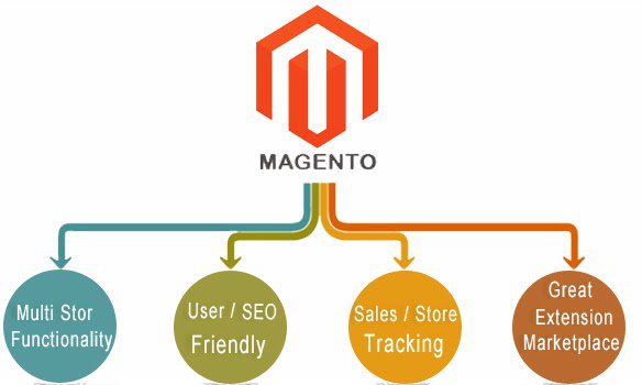 mconnectmedia's tweet image. Reason to Use #Magento for #eCommerce Store Development bit.ly/1WBKwBm

#ecommercestoredevelopment