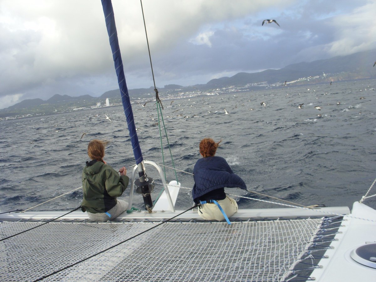 LsCatamarans's tweet photo. Catamaran #Sailing services in #Azores, #VipSunset #Private #interislands #isletdiscover https://t.co/iJBScubCSE https://t.co/cVALiK5t2f