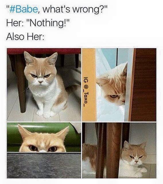SaniNxtDoor's tweet photo. 😂👏🏽💯 https://t.co/l2mXbkODND