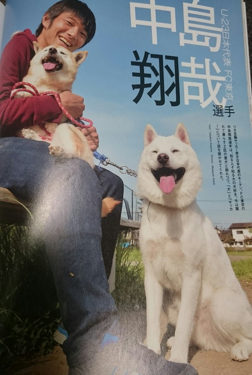 りん Fc岐阜サポーター さっき柴犬専門誌 Shi Ba を買ってきて読んでたら 見たことある顔が Fc東京の中島翔哉選手 マジか 柴犬愛好家なの 柴犬マニアとして 中島選手推させていただきます ヽ Fctokyo