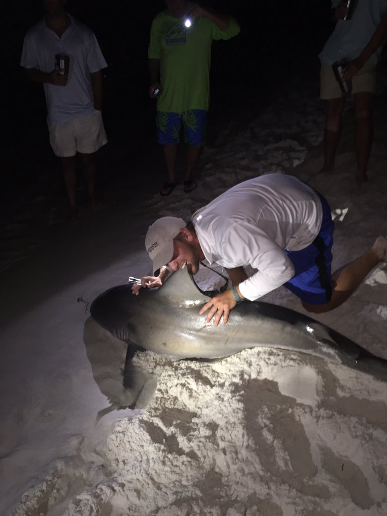 PayneLiotta's tweet photo. When you can't decide what the best way to pose with a shark is https://t.co/zMbewAaXGq