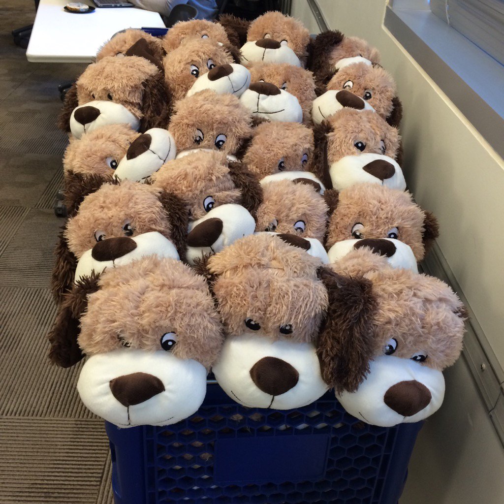 PetSmartCampus's tweet photo. Welcoming in our 2016 Intern class with Chance! #PetSmartCampus https://t.co/pBIDPVkHH7