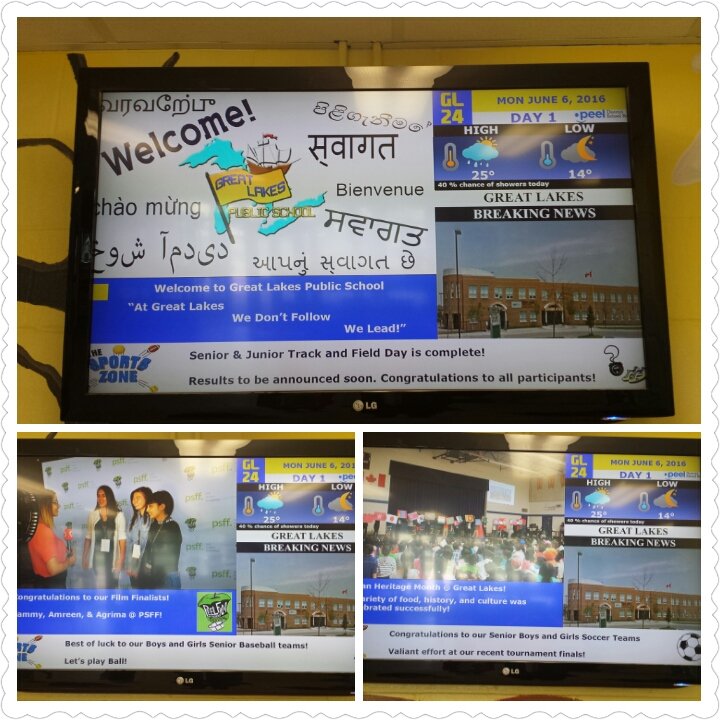 TseliosJ's tweet photo. GL24 goes live today! The latest GL news! No new expensive software needed @pneeeja @wendy_vokey @tina_zita https://t.co/lGW506wNCn