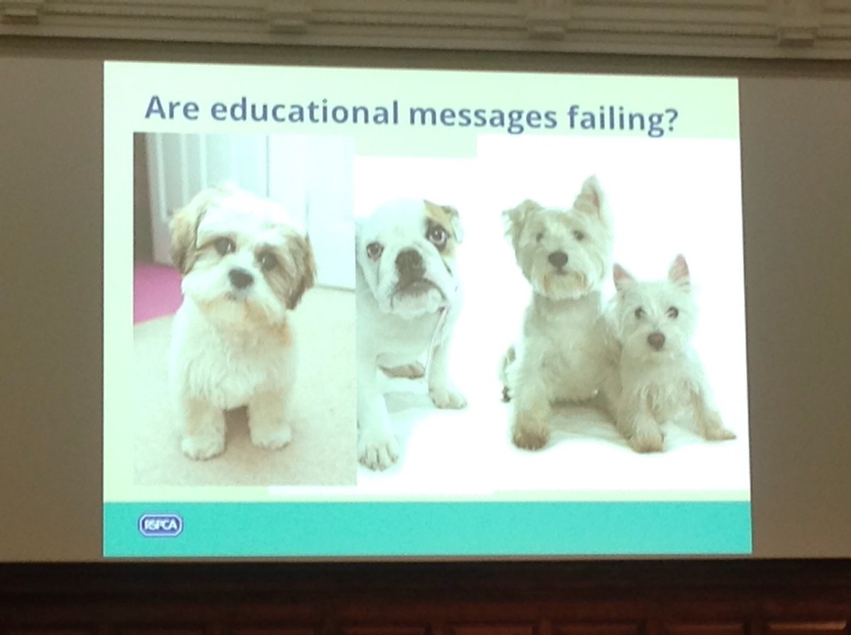 BritishVets's tweet photo. David Bowles @RSPCA_official: Buying a pet is an emotional purchase, not a rational decision #AWFdebate https://t.co/LTrdPCaEGL