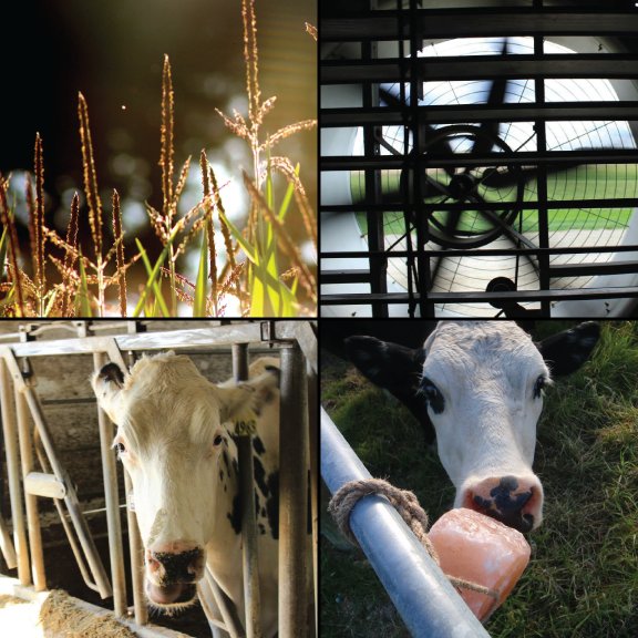 AgriNutrition (ANC) tweet media