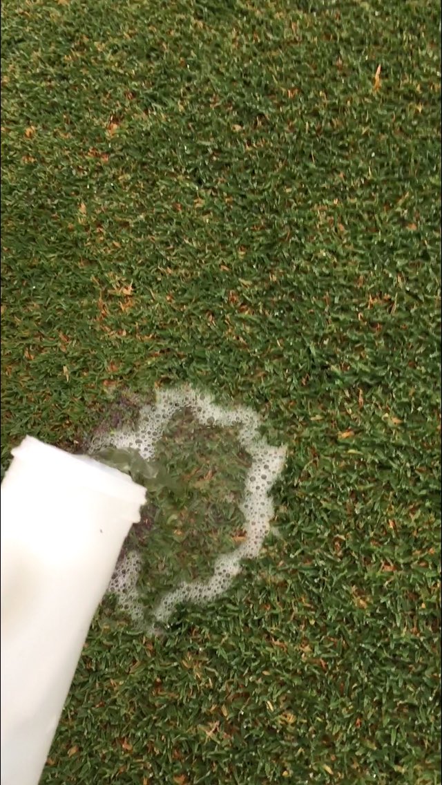 BAbigdaddy's tweet photo. Today's pesky pest: #earwigs. A little #Talstar should take care of them. #soapflush @MikeKellum @FMCturf https://t.co/lO5dIAGtz7