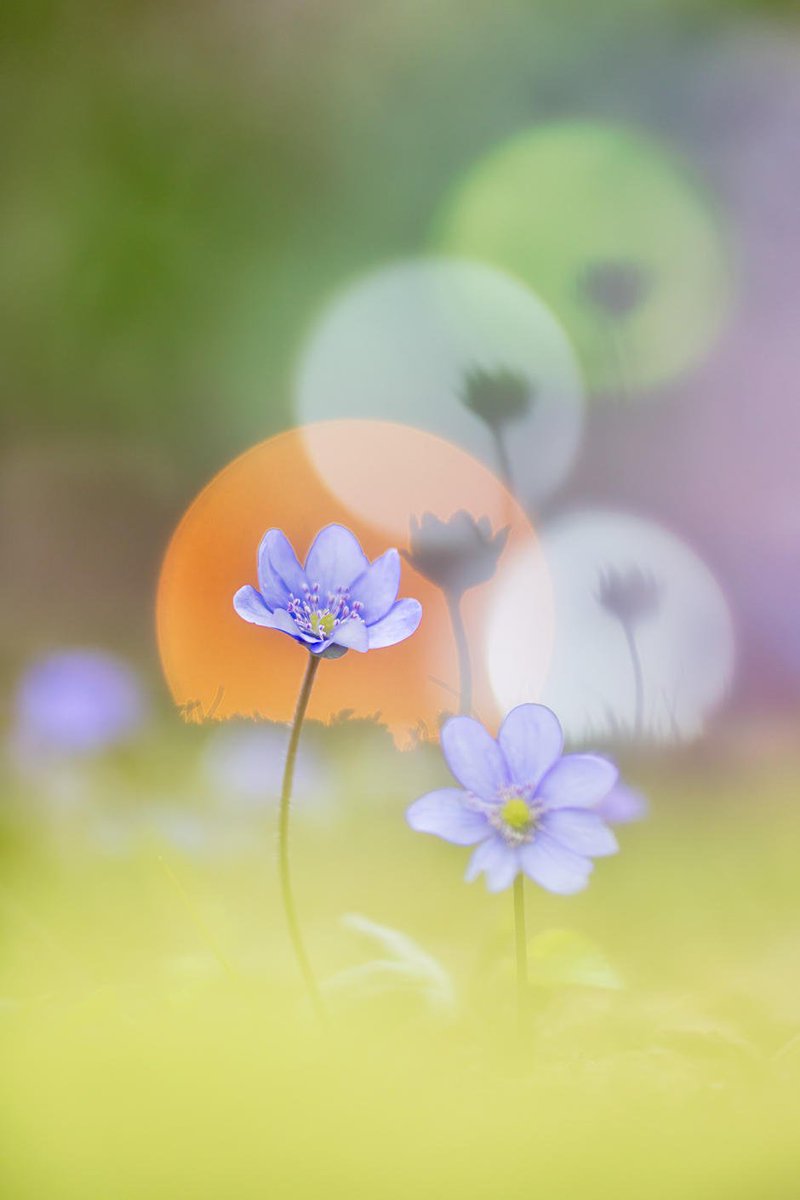 Photocrowd tweet media