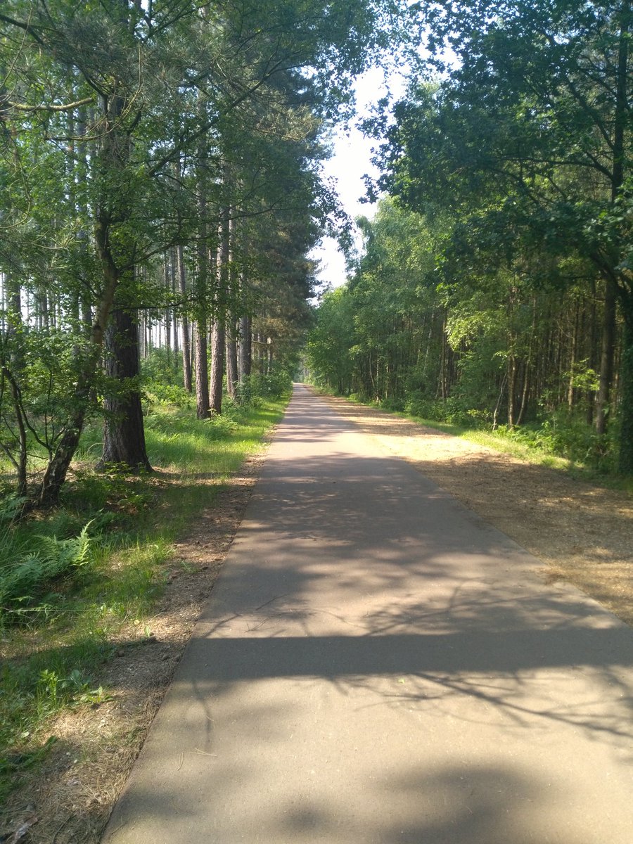 Some sprints prepping for my first kermesse @DaveRaynerFund