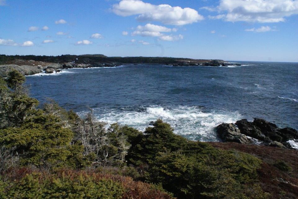 CapeBreton.com tweet media