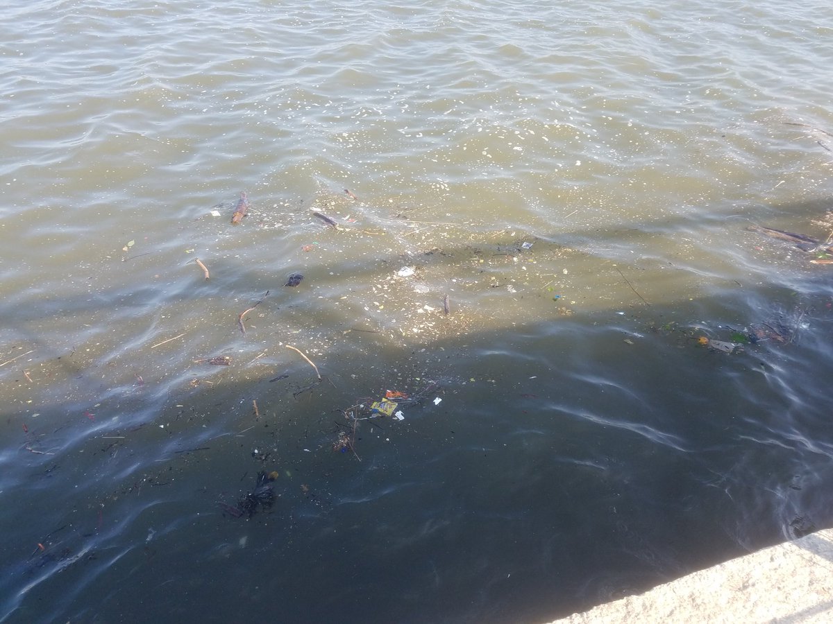 LindaChurch11's tweet photo. Running along the Hudson. Saw this. Let's be better NYC! Let's rise &make #NYClean. politicians can't do it..we can! https://t.co/yvkpJ5bJSO