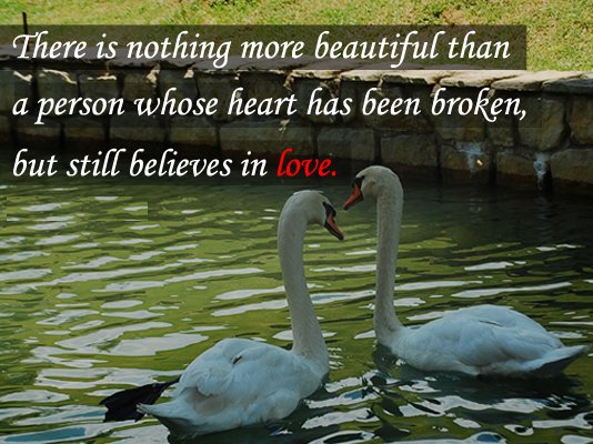 BarcodeCreator's tweet image. There is nothing more #beautiful than a person whose #heart has been broken, but still #believes in love.