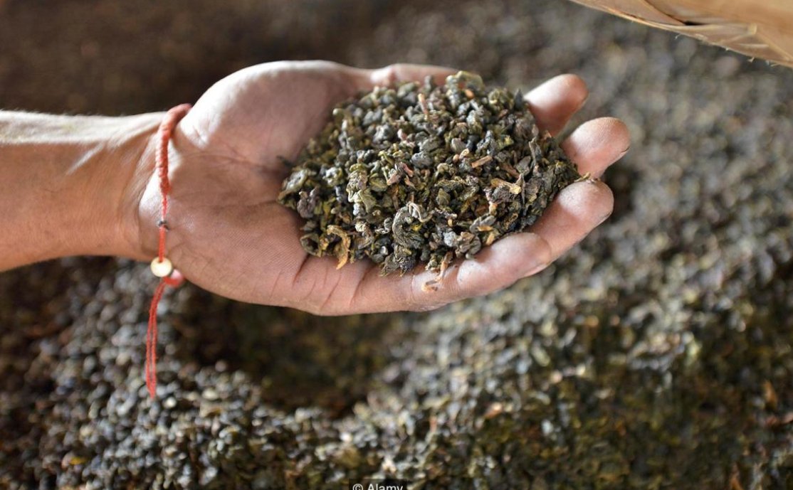 James Edge on Twitter "Why do the British love the taste of tea so