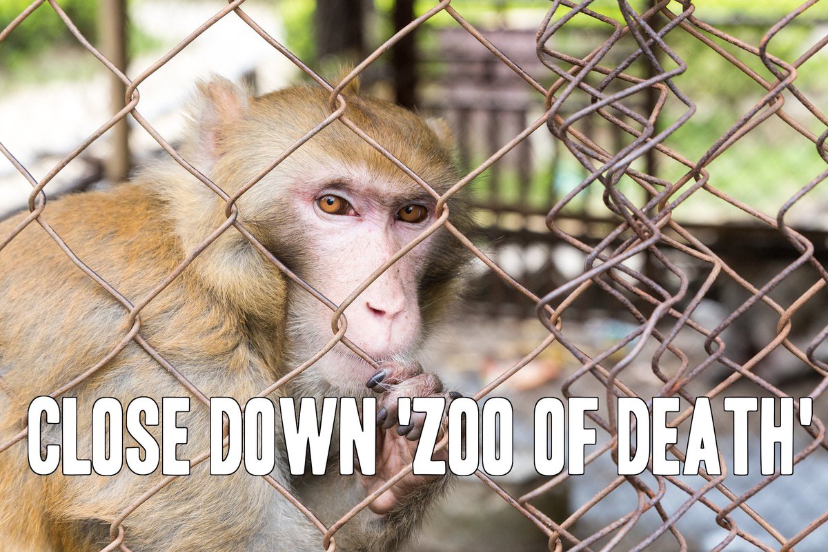 YOU can help save animals from Indonesia's notorious 'Zoo of Death'. SIGN &amp; RT: bit.ly/1R11Szd