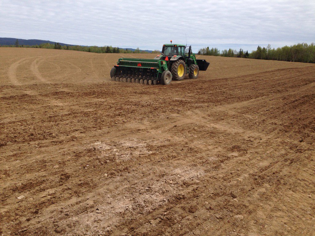 NandNFarm's tweet image. Grain trials continues. Thanks for investing in agriculture research. @DwightBallMHA #foodsecuritymatters