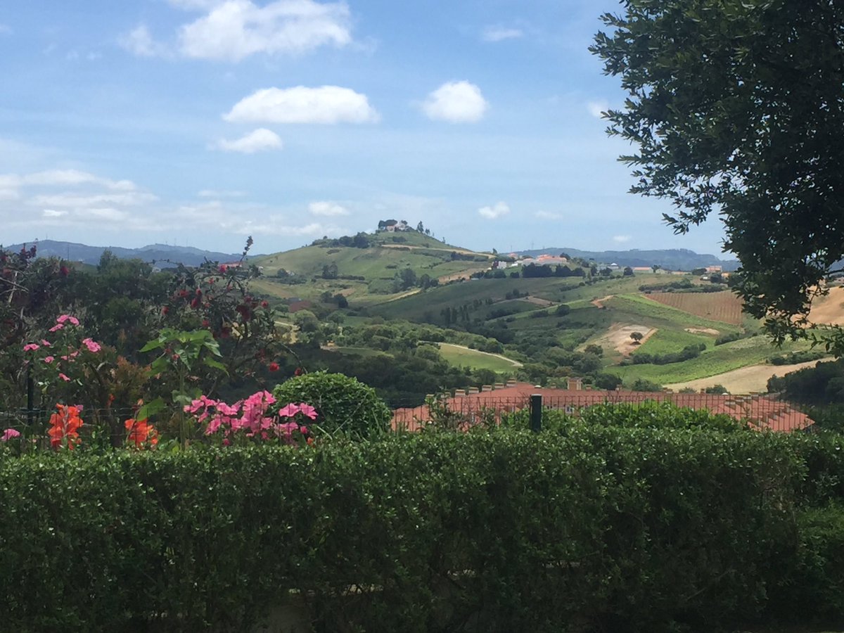 stefleck's tweet photo. Beautiful view to the vineyards today
#Portugal
#turcifal https://t.co/jFuXlEa6AG