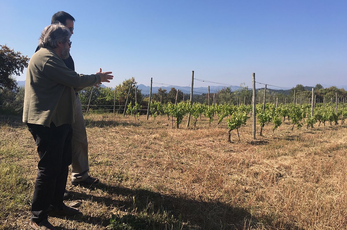 TradeforWine's tweet photo. Happy monday #winelovers!
Check out our new blog post about René Barbier &amp; #ClosMogador 
https://t.co/sMPTKylOzM https://t.co/qBfp7Wk4Au