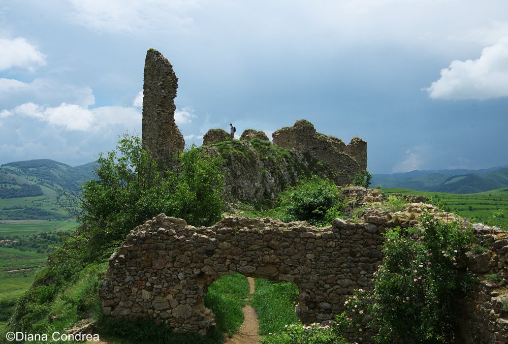 UncoverRomania's tweet photo. the ruins of the medieval #fortress from #coltesti, a great place from #Transylvania, more: https://t.co/R6nD0nx2yS https://t.co/Zh7I9nUKEe