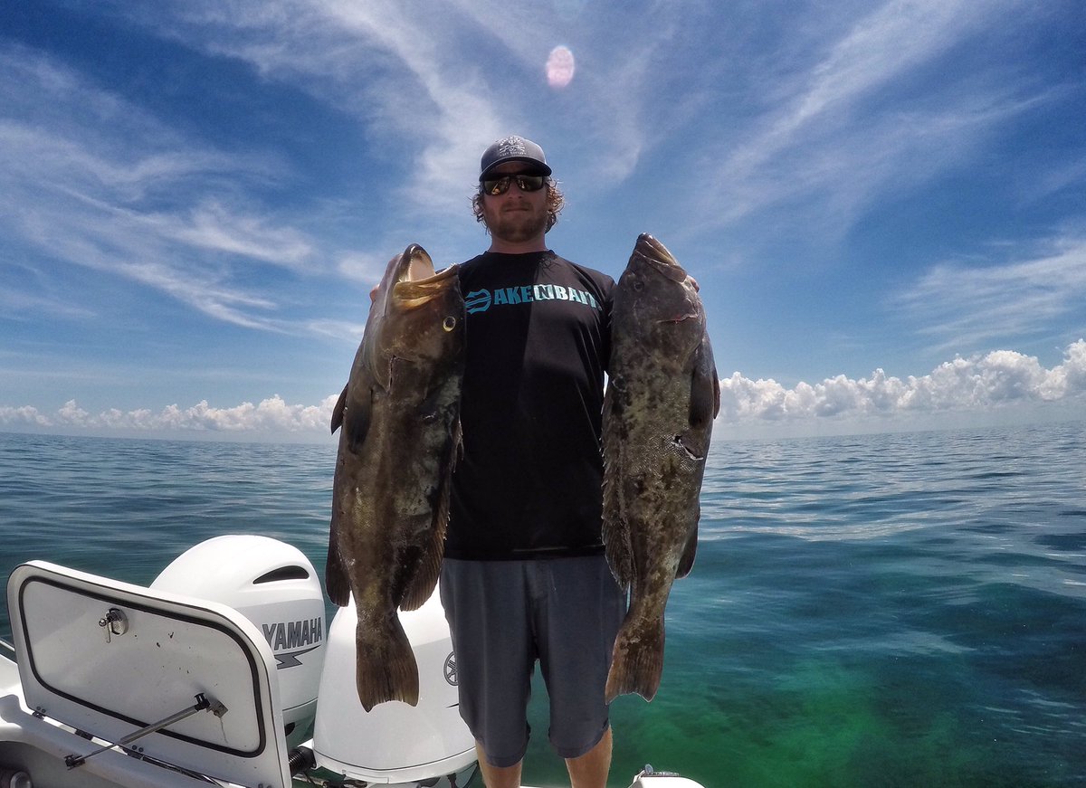 wakenbait's tweet photo. Murked Em this weekend
@sburns497
#grouper #gaggrouper #grouperseason #murkcrew #inthemeat #spearfishing #freediving https://t.co/mjbq14HgWT