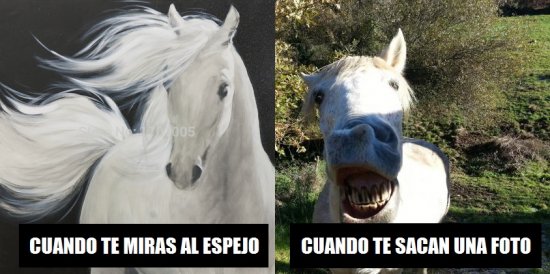 Cuánto Cabrón tweet media