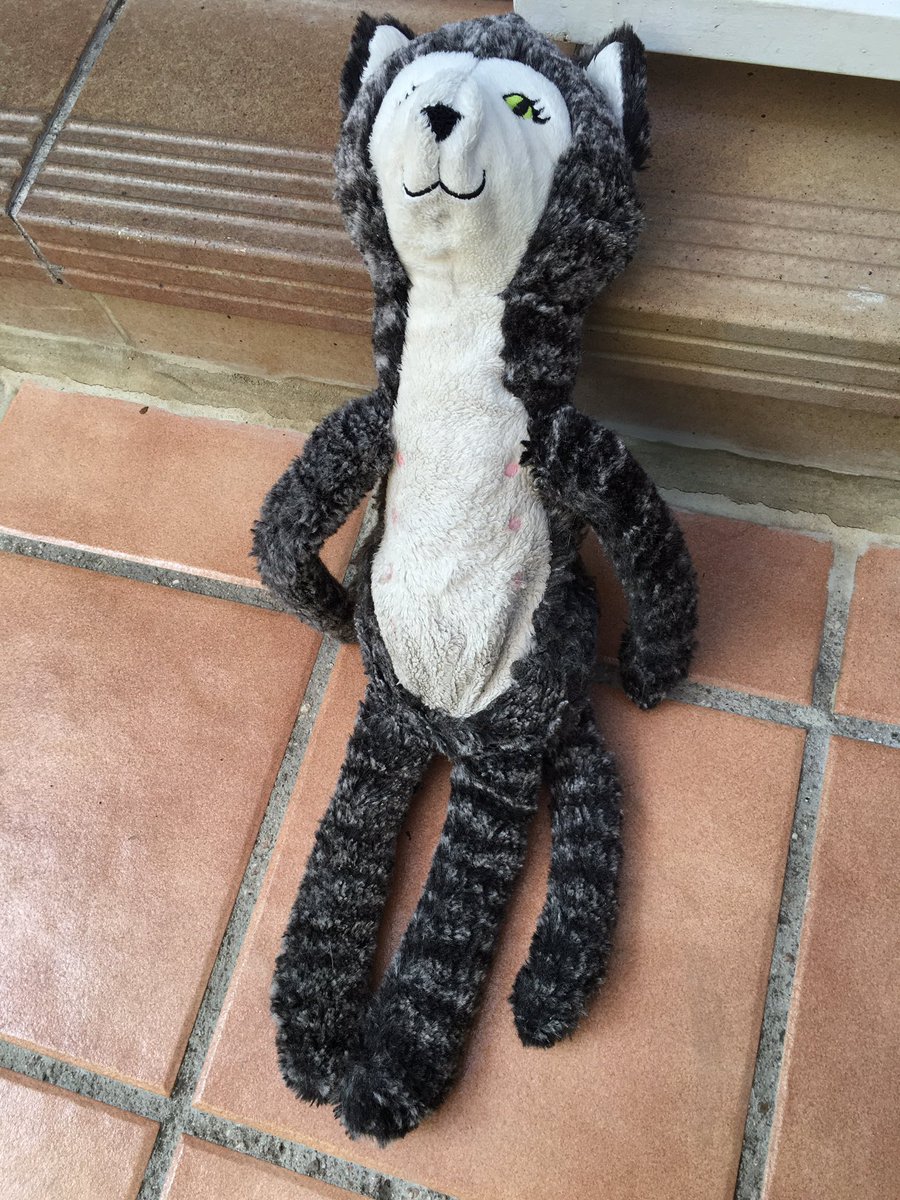 Os presento oficialmente a la novia de <a href="/Jaritomalo/">Jaritomalo</a>: La Lobita. Es su único amor. Bueno, único no. Su mayor amor.