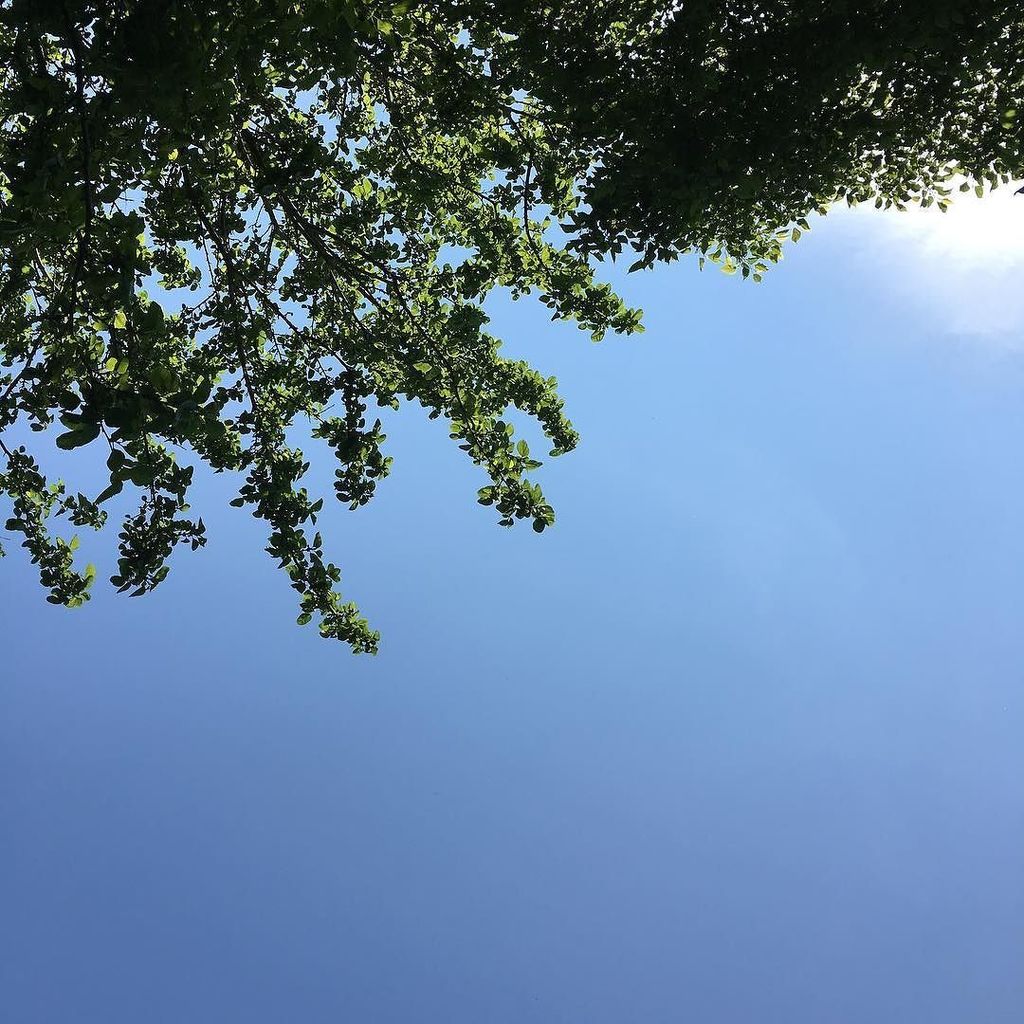 onenoteforever's tweet photo. 🌞🌞🌲🌿 https://t.co/mxkH0NKL6o https://t.co/j6k8h3FQjf