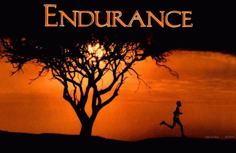 Топ 13 мотивациони атлетски филмови endurance.mk/2016/06/06/%D1…