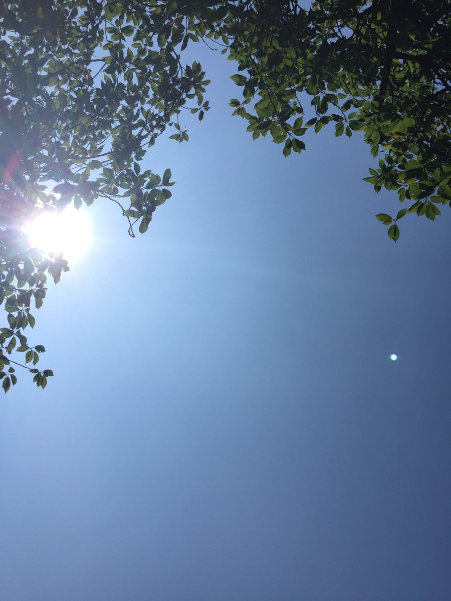 AprilJ_Miller's tweet photo. Could the sky be any bluer?! 👍🏽😘 #summer #sky #sun #blue https://t.co/24XYDdOC5n