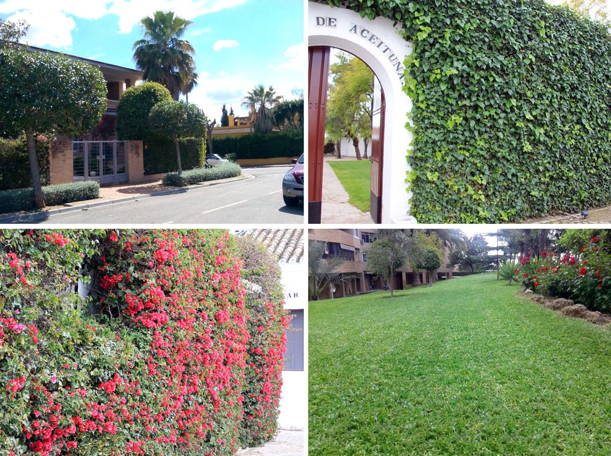 greenfactor_'s tweet image. Preparamos tu #jardín para que lo disfrutes al máximo este verano
Confía en profesionales greenfactor.es