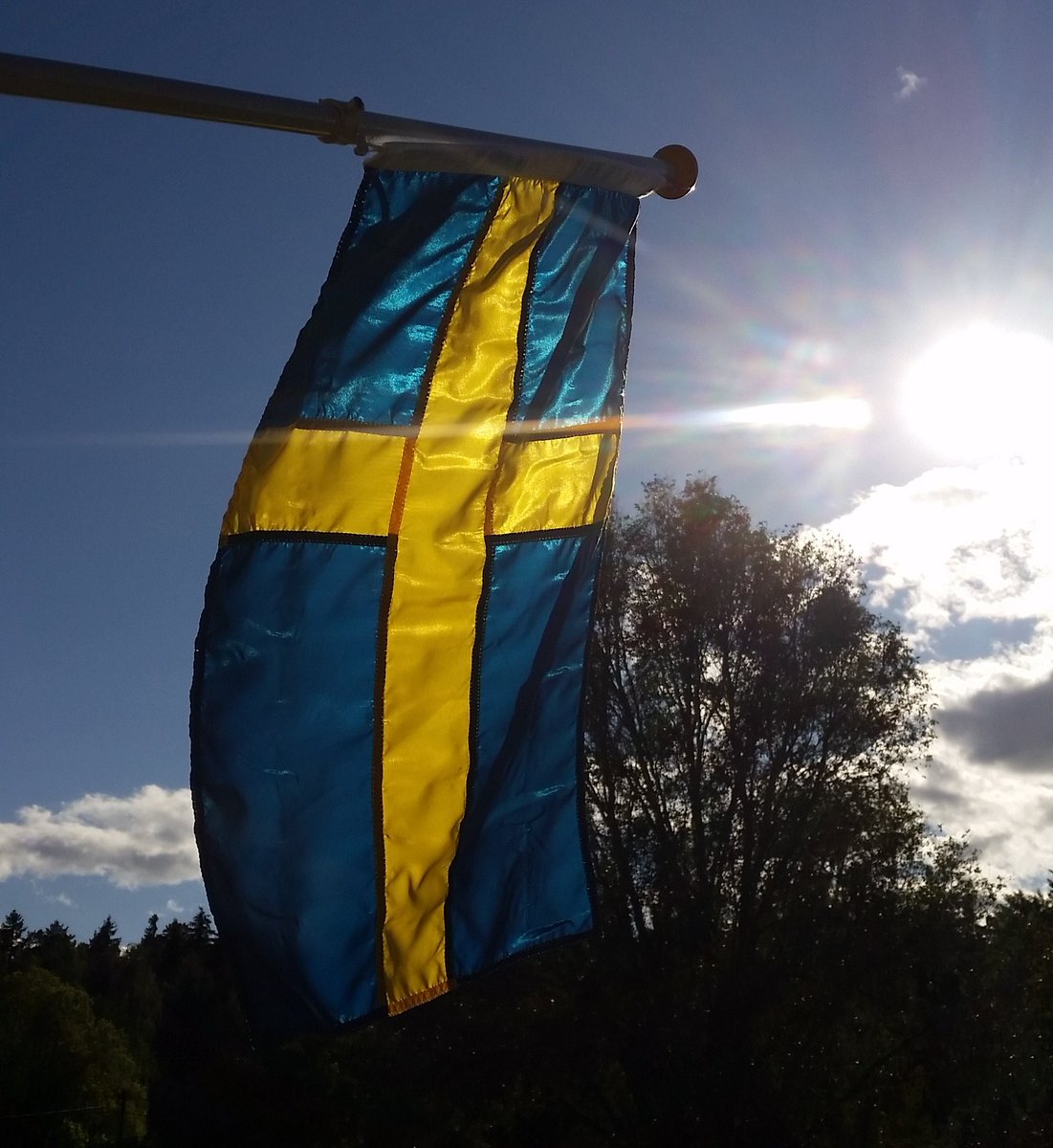 🌞SunshineInMyPocket🌞 tweet media