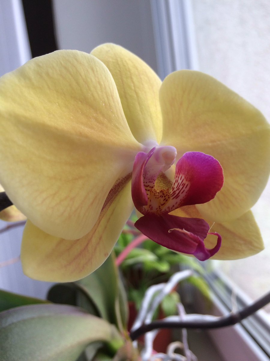 Пока на улице холодно и дождь ⛈💦⚡️ Радует погода дома ❤️ #домоседы #такойиюнь #москва https://t.co/QDZrzidliA