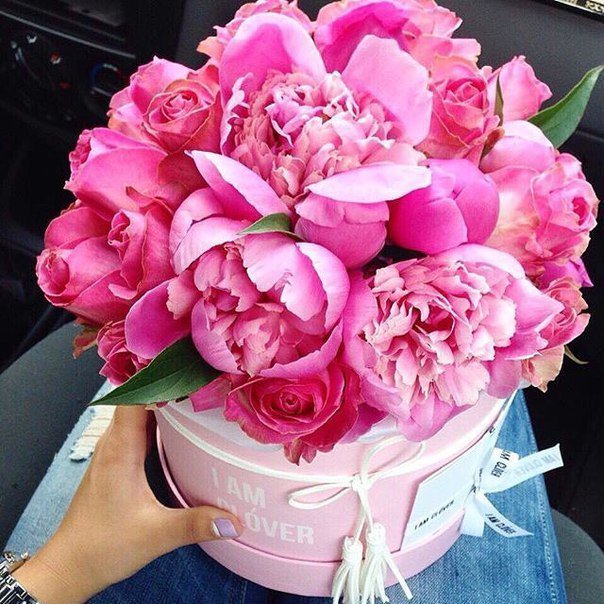 Они сводят меня с ума 🌸