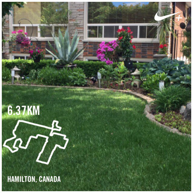 Refrescante I just ran 6.37 km with Nike+. go.nike.com/2t95j7q #nikeplus