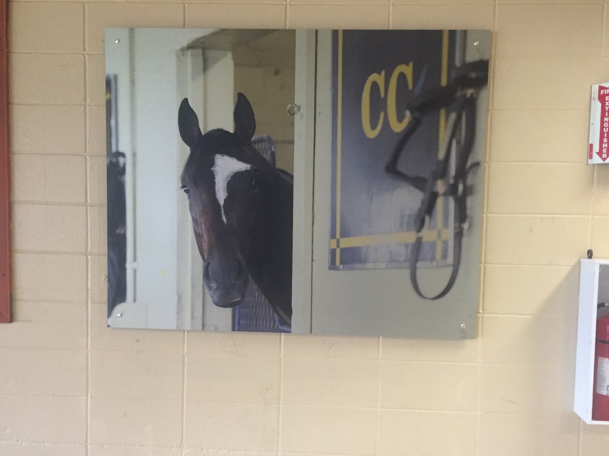 Clement Racing Stable tweet media